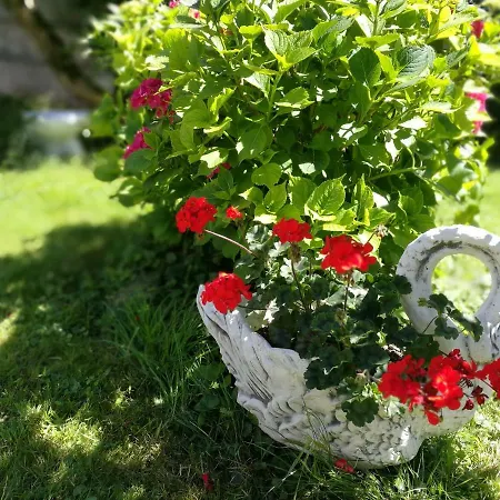 Apartmán Gaestezimmer & Mayrhofer Waidhofen an der Ybbs