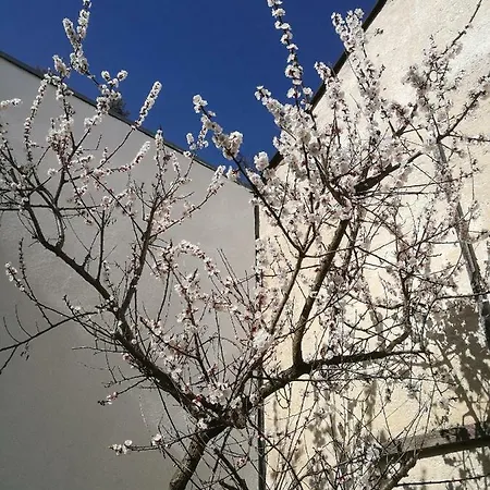 Lejlighed Gaestezimmer & Mayrhofer *