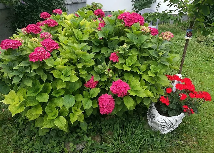 Gaestezimmer & Mayrhofer شقة وایدهوفن آن در یبس