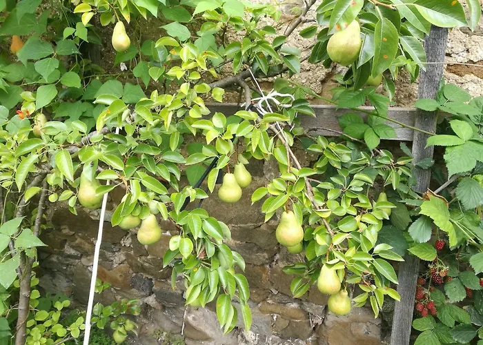 Gaestezimmer & Mayrhofer وایدهوفن آن در یبس